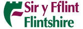 Flintshire CC Logo